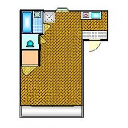 メゾン・ド・リジエール 101 1階ワンルームの間取り