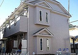 ゼフィランサス洋光台