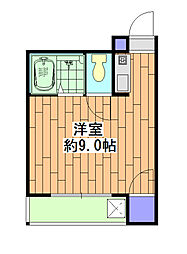 パレスオブタクティクス 1階1Kの間取り