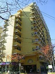 東京ベイビュウ