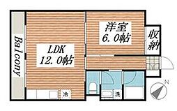 JR常磐線 柏駅 徒歩7分の賃貸マンション 2階1LDKの間取り