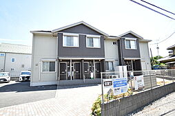 セッテヴィータ 203