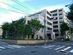 ヴィルヌーブ東戸塚プレジール 113