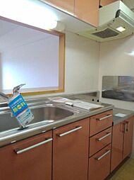 ＷＡＶＥＳ＆ＳＨＥＬＬＳ 403