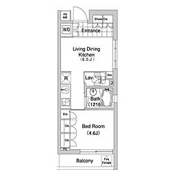 都営大江戸線 牛込柳町駅 徒歩5分の賃貸マンション 3階1LDKの間取り