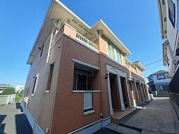 エヴァーグリーン