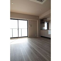 エルスタンザ文京白山 0201