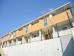 メルローズの丘