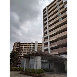 ウィズ松戸陽だまりの丘