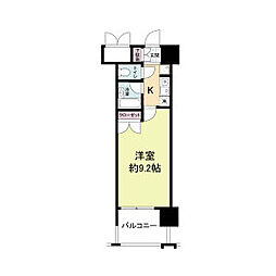 パークフラッツ江坂 2階/-