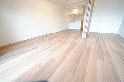 プレサンス心斎橋ニスト