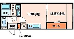 白井ハイツ 1階1LDKの間取り