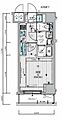 MAINSTAGE滝野川グレイス12階11.0万円