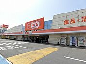 【ショッピングセンター】ザ・ビッグエクストラ池田店まで1100ｍ