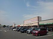 【スーパー】マックスバリュ鈴鹿中央店まで1294ｍ