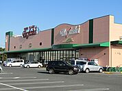 【スーパー】ハヤシ六ツ野店まで1100ｍ