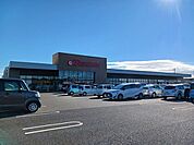 【スーパー】とりせん佐野西店まで280ｍ