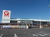 【ホームセンター】コメリ ハード＆グリーン小笠店まで750ｍ