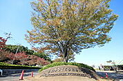 【公園】宮山ふるさとふれあい公園まで1251ｍ