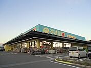 【ドラッグストア】杏林堂スーパードラッグストア掛川花鳥園前まで1410ｍ