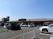 【スーパー】せんどう茂原店まで700ｍ
