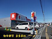 【ドラッグストア】セキまで350ｍ