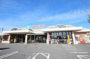 エコス下館東店まで1123ｍ