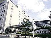【市役所・区役所】豊田市役所まで972ｍ
