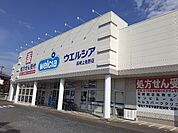 【ドラッグストア】ウエルシア上佐野店まで700ｍ
