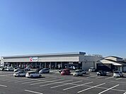 【ドラッグストア】カワチ薬品土浦南店まで3100ｍ