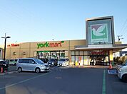 【スーパー】ヨークマート伊勢原成瀬店まで300ｍ