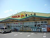 【スーパー】メグリアミニまで1100ｍ