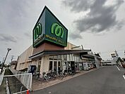 【スーパー】マミーマート弥十郎店まで800ｍ