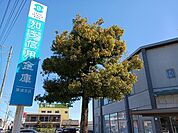 【銀行】知多信用金庫東浦支店まで491ｍ