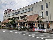 【スーパー】セイミヤまで1000ｍ