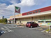 【スーパー】ヨークベニマル日立会瀬店まで2500ｍ