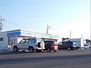 【コンビニエンスストア】ローソンまで900ｍ