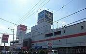 コジマ×ビックカメラまで290ｍ