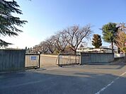 【小学校】太田市立薮塚本町南小学校まで1600ｍ