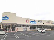 【ドラッグストア】ウエルシア茂原六ツ野店まで1300ｍ