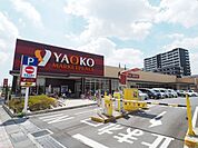 【スーパー】ヤオコー三郷中央店まで450ｍ