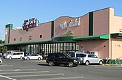 【スーパー】ハヤシ六ツ野店まで1100ｍ
