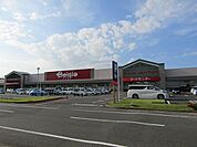 【スーパー】ベイシア茂原店まで1300ｍ