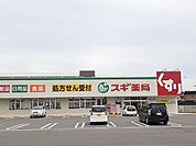 【ドラッグストア】スギ薬局玉垣店まで384ｍ