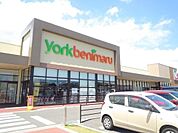【スーパー】ヨークベニマル　東海店まで400ｍ