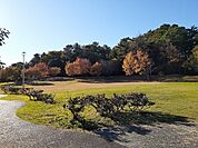 【公園】四ツ池公園まで800ｍ