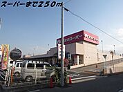 【スーパー】アオキスーパーまで250ｍ