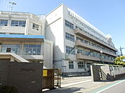 【小学校】市川市立幸小学校まで1014ｍ