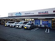 【ドラッグストア】ウエルシア　水戸島店まで1300ｍ
