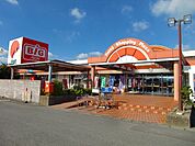 【スーパー】ザ・ビッグ大東店まで1600ｍ